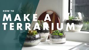 how to make a terrarium bunnings