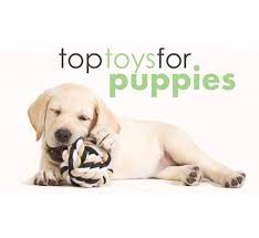 puppy toys best chew toys for teething