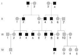Recessive traits may skip generations and will affect both genders equally. Y Linked Inheritance