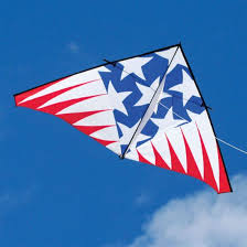 ITW 12-ft USA Highlighter Delta Kite - Buy at Into The Wind Kites - Buy at  Into The Wind Kites