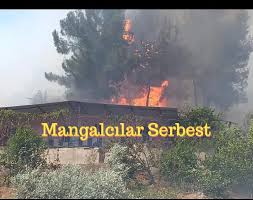 mangalcÄ±lar ile ilgili gÃ¶rsel sonucu