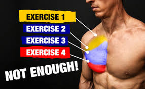 chest workout perfect chest exercises