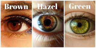 best hair color for hazel eyes