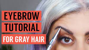 eyebrow tutorial for gray hair maryam