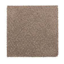 carpet selection waxmans carpet