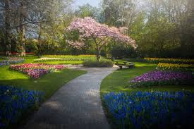 The Most Beautiful Flower Garden In The