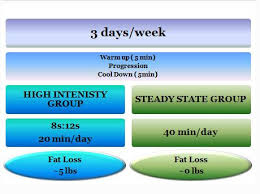 efficient fat loss exercise program