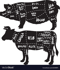 Pork And Beef Cuts Diagram And Butchery Set