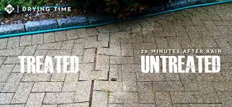 Paver Sealer 101 Seal Protect Your