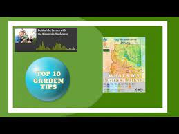 Top 10 Insider Garden Tips Planting