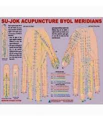 Sujok Acupuncture Byol Meridian Chart Ebay
