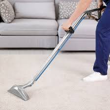 carpet cleaning hamilton waikatocarpet