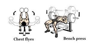 chest dumbbell flyes vs bench press