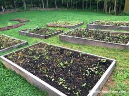 Are Raised Vegetable Garden Beds Right