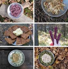 diy freeze dried backng meals from