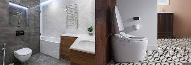 single flush vs dual flush toilets