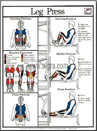 Leg Press Poster By Bruce Algra Leg Press Easy Workouts