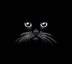 Black Cat Wallpaper To Your