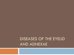 ppt diseases of the eyelid and