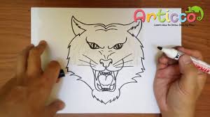Today i am drawing learning for kids hindi how to draw tiger from 553 number step by step easy drawing for kids doodle art on. How To Draw A Tiger Face Step By Step Youtube