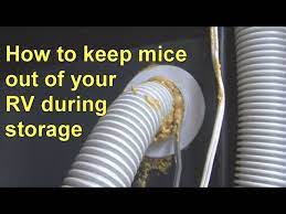 keep mice out of your rv during storage