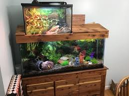 I Am Upgrading My Turtle Tank Soon I Thought I Would Show Everyone The Old Setup Before I Took It Down Aquariums