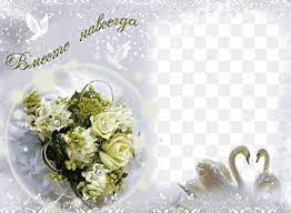wedding photo frame png images pngwing