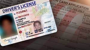 license renewals
