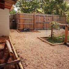 Dog Friendly Backyard Ideas On A Budget