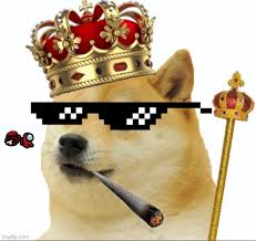 The doge king welcome you. King Doge Memes Gifs Imgflip