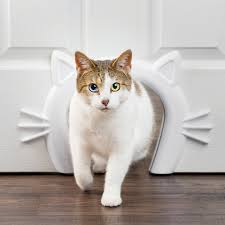 Support us by sharing the content, upvoting wallpapers on the page or sending your own. Cat Corridor Interior Pet Door By Petsafe Zpa19 17227