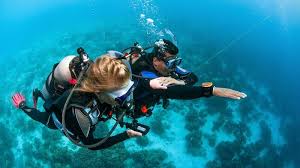 1 padi scuba diving courses in the best