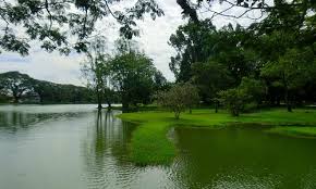 The place is highly affected by tropical climate, thus, you will get to therefore, if you are looking for some interesting things to do in taiping, make sure you include these best experiences. The 10 Best Things To Do In Taiping 2021 With Photos Tripadvisor