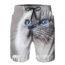 Amazon Com Ragdoll Kitten Cat Mens Swim Trunks Beachwear