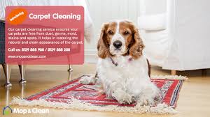 carpet cleaning service in cochin mop