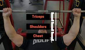 16 best tricep exercises to increase