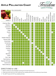 Apple Pollination Chart Potted Fruit Trees Apple Tree