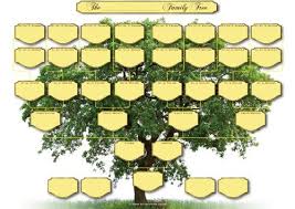 Family Tree Chart 5 Generations Amazon Co Uk My History