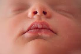 newborn baby mouth lips and nose stock