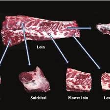 Beef Marbling Standard Bms Used For The Estimation Of