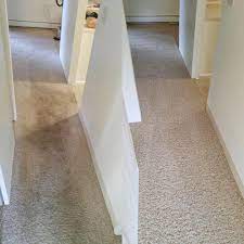 carpet cleaning fort collins colorado
