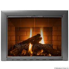 Premier View Masonry Fireplace Door