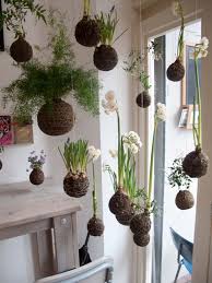 Display Your Indoor Mini Garden