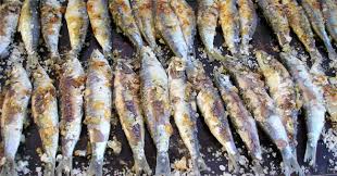 Resultado de imagen de sardinas san juan
