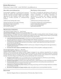 Resume Template  Marketing Objectives Resume Example With     BUY THIS CV 