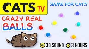 game for cats crazy multicolor