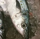 What does Spanish mackerel fish taste like?