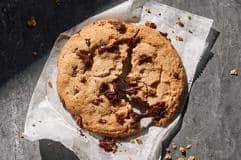 chocolate chipper cookie panera bread