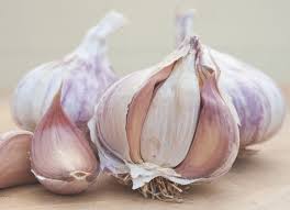 How to grow garlic over winter - Suttons Gardening Grow How