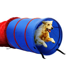 pet dog tunnel puppy agility equipment